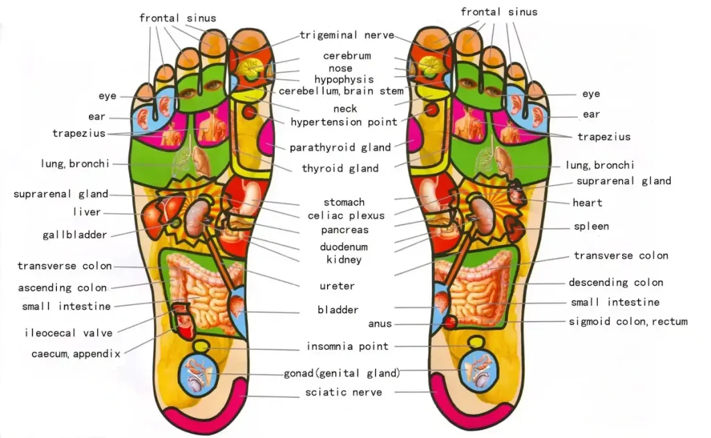 gambar kaki refleksi